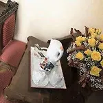 Palazzo Vannoni 3*